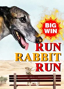 Rabbit Run